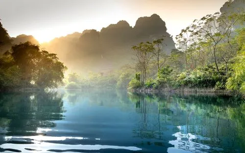 智能系统独特电子